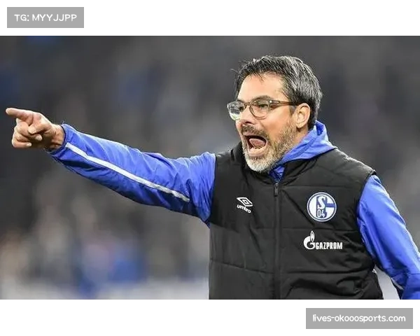 前沙尔克04高管因财务造假案出庭受审